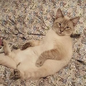 Meet your Posher, Kelly